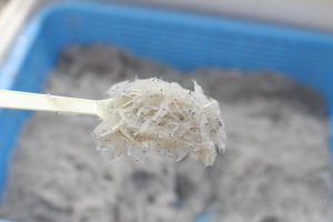 IMG_1016