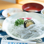 select-sirasu-1